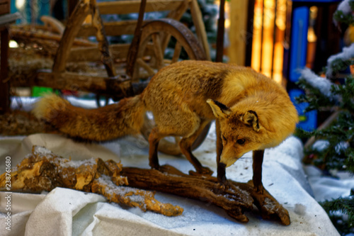 exposition of animals in the winter forest