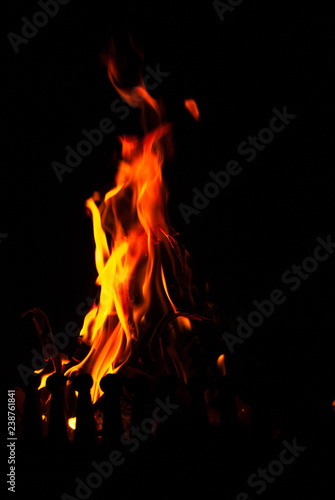 Orange flames in the fireplace © Simona