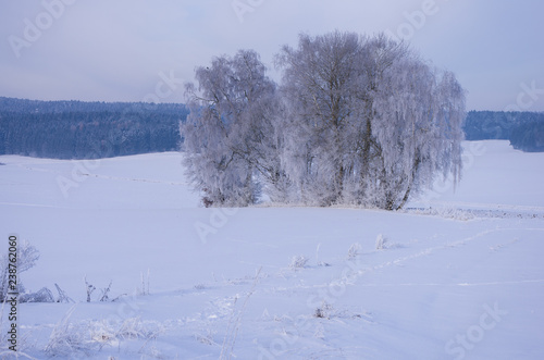 Blaue Winterlandschaft © Guntar Feldmann