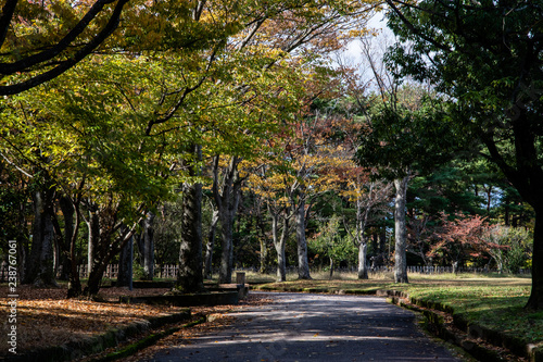 公園 © KIYOSHI KASHIWANO