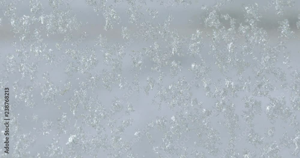 Snowflakes on the glass Snowflakes on the glass