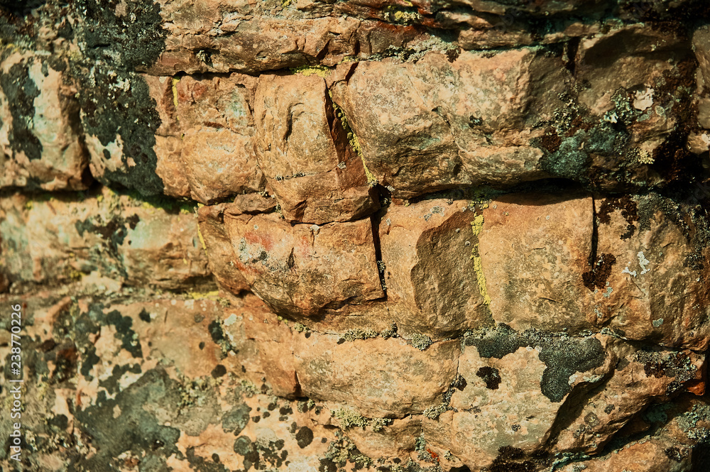 Fototapeta premium Moss covered rock