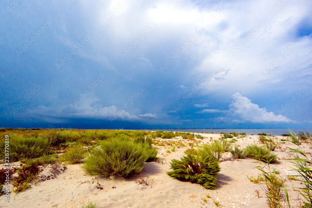 Sandy grassy sea shore against gloomy stormy sky