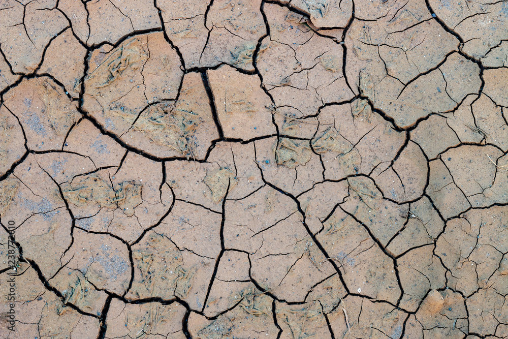 cracked mud texture 007 cracked mud texture 007