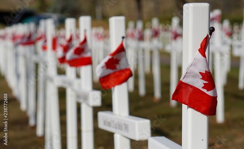Close up on white crosses and Canadian Flags on Remembrance Day