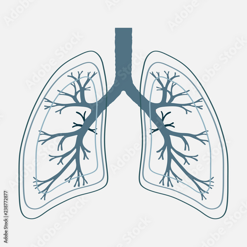 Human Lung anatomy illustration . Illness respiratory cancer gra