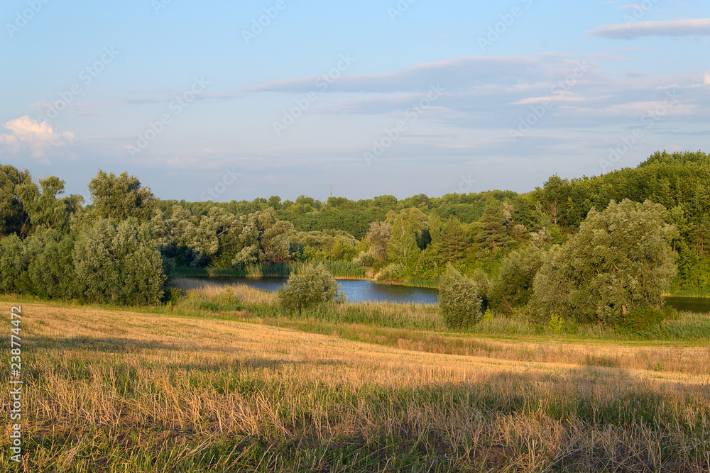 Landscape with wheat field and blue sky Landscape with wheat field and blue sky