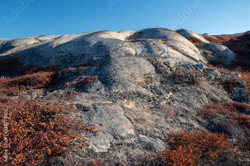 Abgeschliffene Felsen in Ost-Grönland