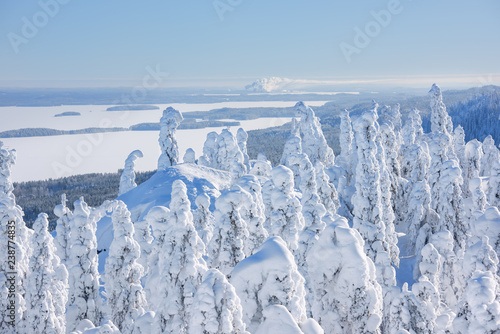 Scenic view in Koli national park in Finland on a sunny winter day photo