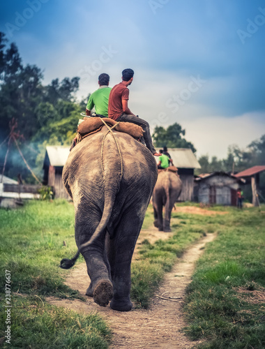 Two nepalese men riding on the elephant toward the stable, Nepal.