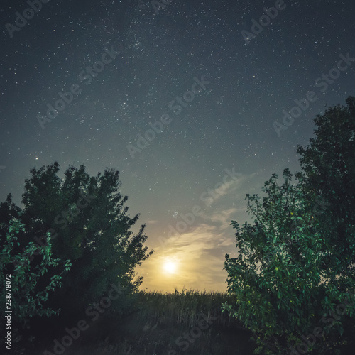Green glade lighted by full moon under starry sky
