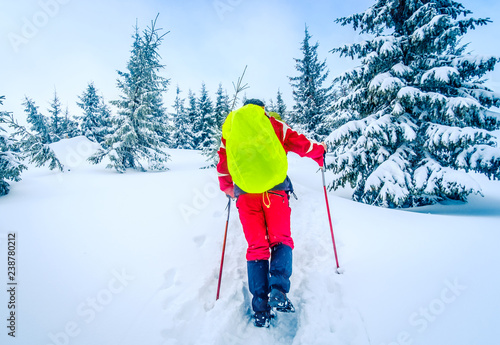 Tourist with trekking poles and bright backpack walking in the winter mountains. Backpacker walking on snow mountains and forest