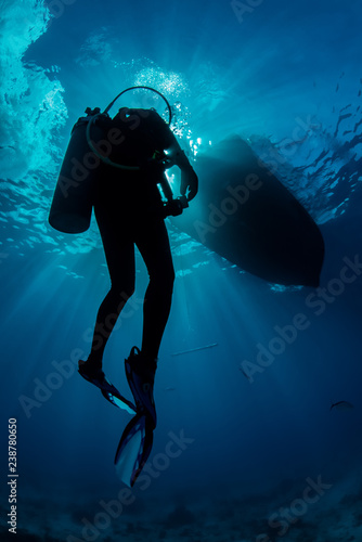 Scuba Diver Silhouette ascending towards the surface surrounded by blue water.