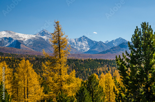 Altai mountains