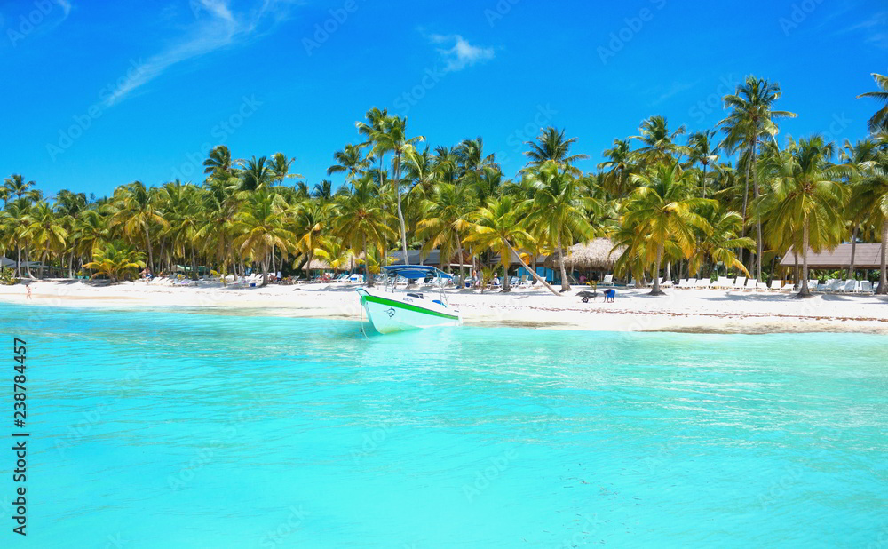 tropical beach in dominicana