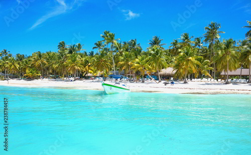 tropical beach in dominicana