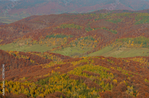 Autumn in the primeval forest. Bieszczady Mountains. Abandoned village Carynskie. Bieszczady National Park