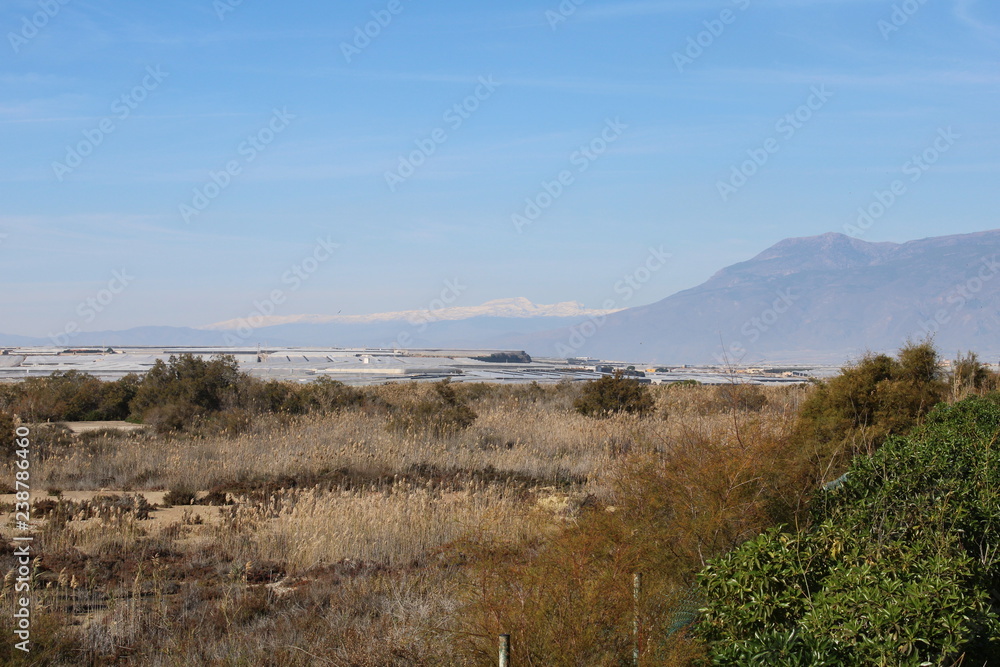 View of arid field and greenhouse