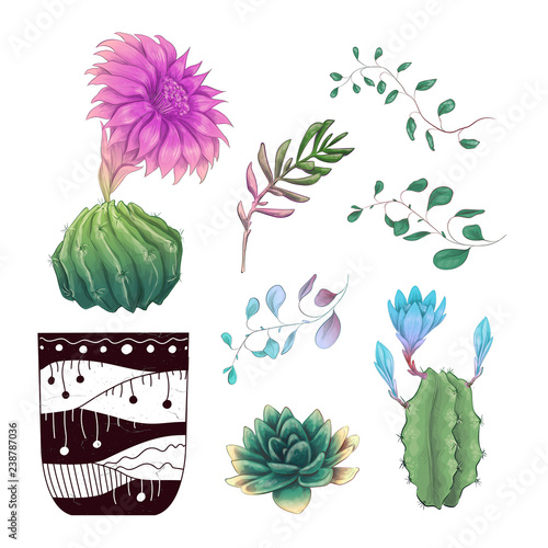 Potted cacti and succulents plants badge collection set.