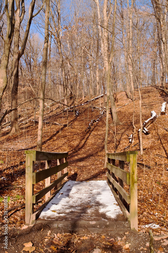 A wooden bridge with snow on it in the bare winter woods in Frick Park  Pittsburgh  Pennsylvania  USA