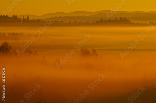 Sunrise in the forest. Bieszczady Mountains. Poland