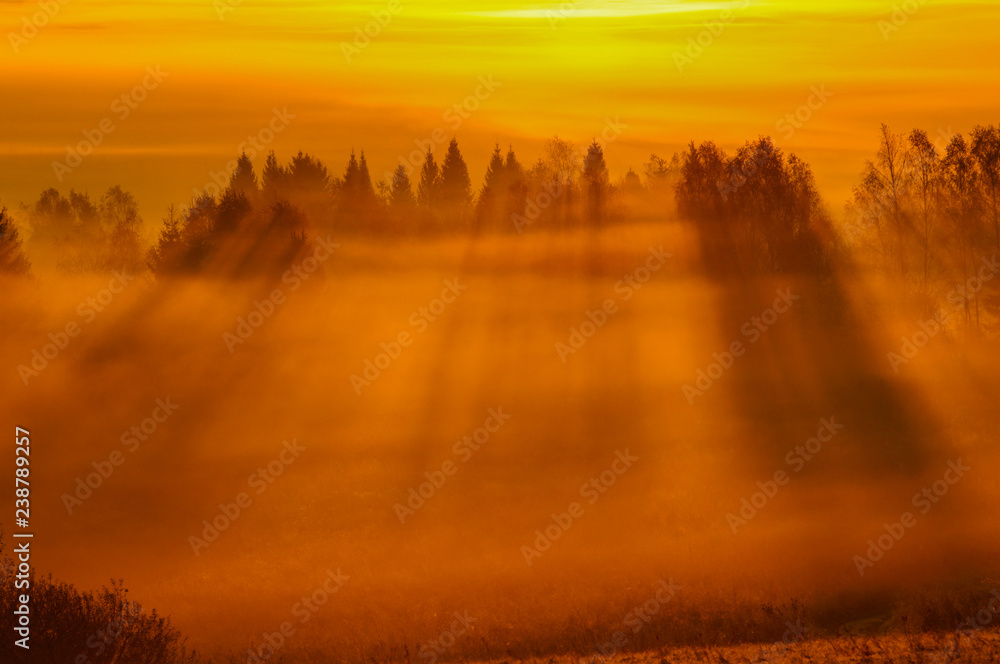 Fototapeta premium Sunrise in the forest. Bieszczady Mountains. Poland