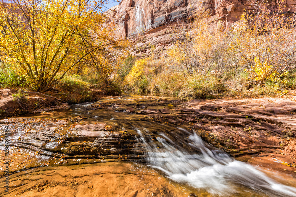 Sunny Grandstaff Canyon Stream Sunny Grandstaff Canyon Stream