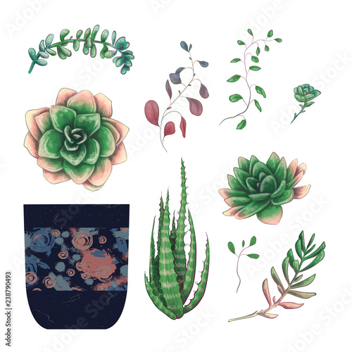 Potted cacti and succulents plants badge collection set.