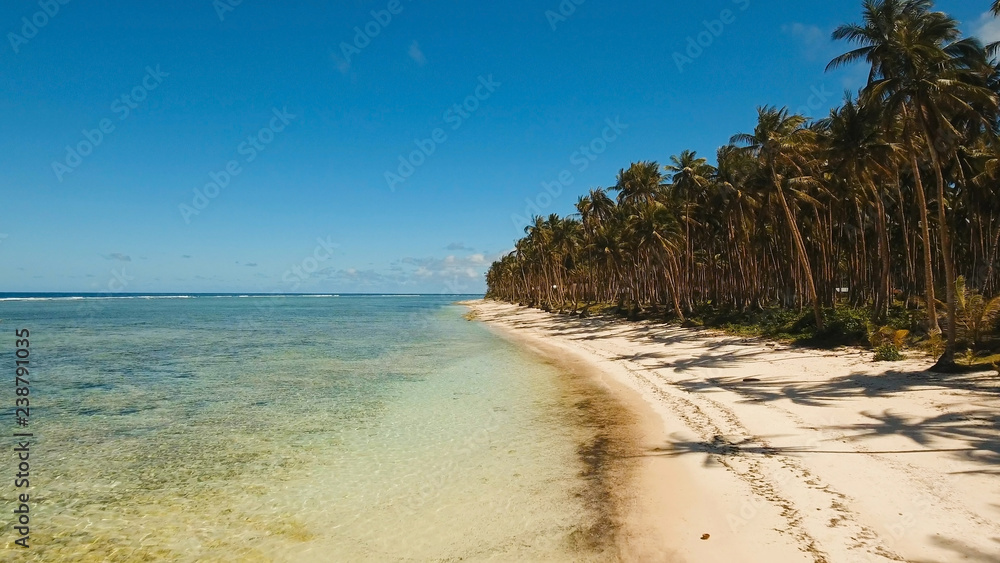 Beautiful tropical sand beach, palm trees. Aerial view of tropical beach on the island Siargao, Philippines. Tropical landscape: beach with palm trees. Seascape: Ocean, sky, sea . Philippines. Travel