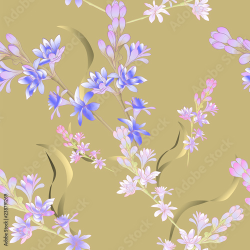 Tuberose - branches. Vector. Seamless pattern. medicinal, perfumery and cosmetic plants. Wallpaper. Use printed materials, signs, posters, postcards, packaging. 