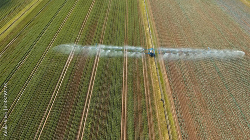 Aerial view: Irrigation equipment watering cabbage field. Irrigation system watering farm field.