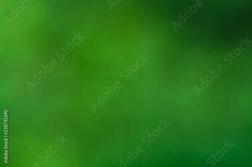 Abstract blurred green background.