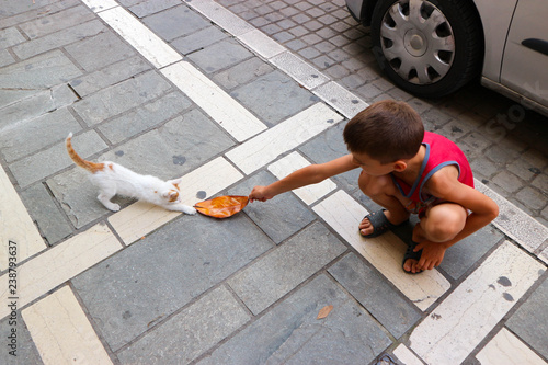 Little boy playing with little cat with the leaf