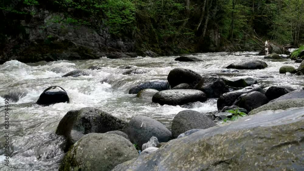 Rapid mountain river flows around Borjomi town, Georgia country. Rapid mountain river flows around Borjomi town, Georgia country.