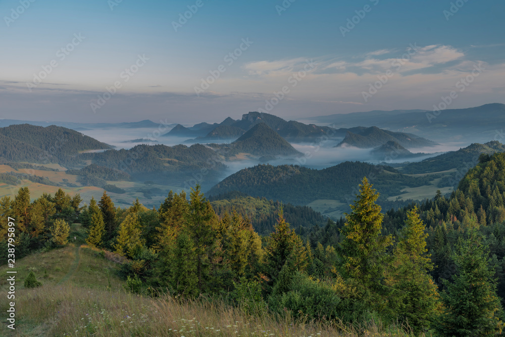 Morning in national park Pieniny with sunny shine over green meadows