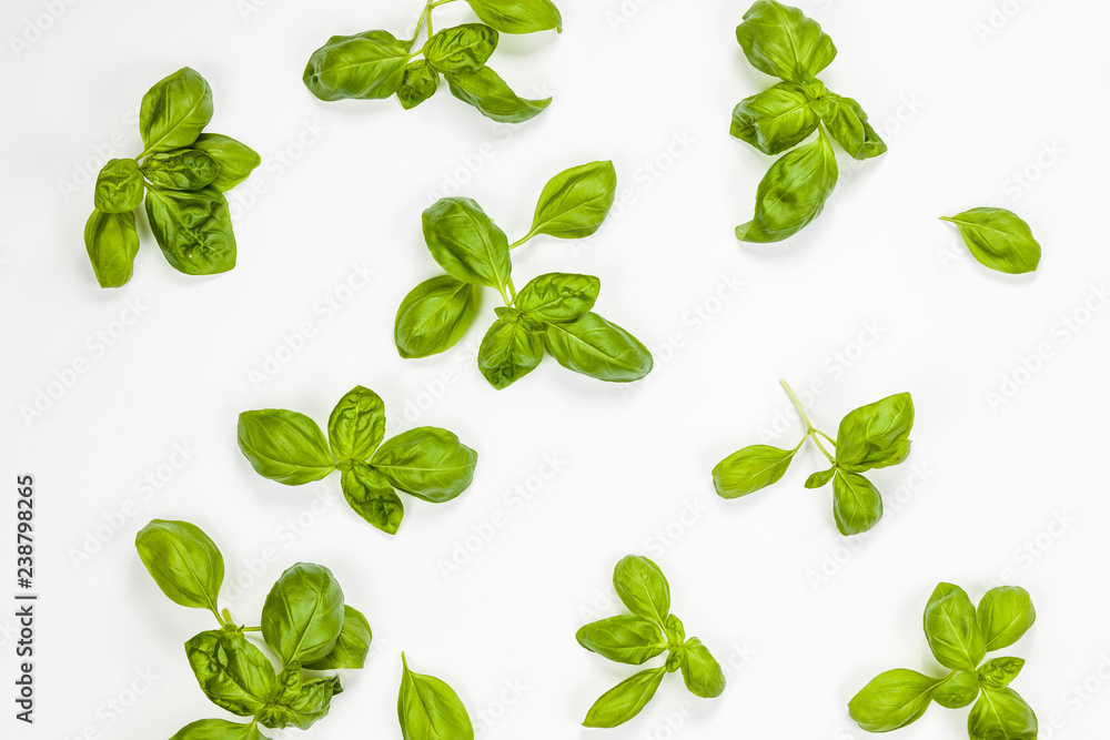 Multiple basil leaves isolated, aerial view Multiple basil leaves isolated, aerial view
