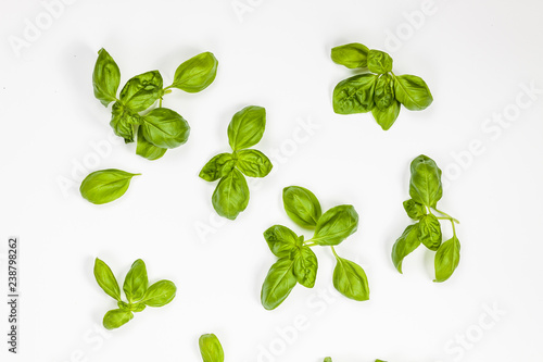 Multiple basil leaves isolated, aerial view