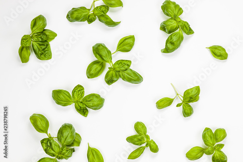 Multiple basil leaves isolated, aerial view