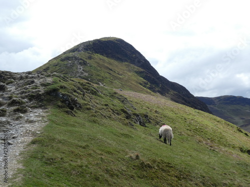 Lake District © Laura