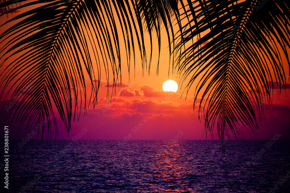 Summer tropical background. Sunset at the Ocean
