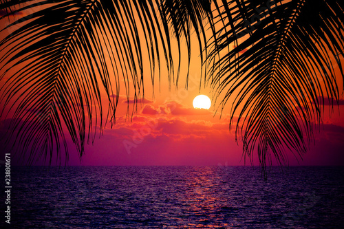 Foto Summer tropical background. Sunset at the Ocean