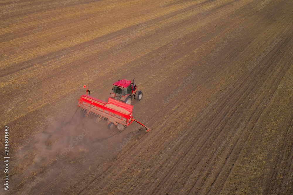 Tractor sows winter crops in the field