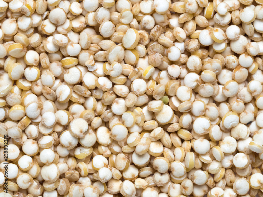 Grain of quinoa. Uncooked raw quinoa as background. Healthy vegan food concept and pattern Grain of quinoa. Uncooked raw quinoa as background. Healthy vegan food concept and pattern