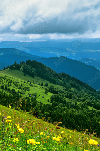 Landscape from height to mountain slopes, meadow. Carpathians Ukraine.