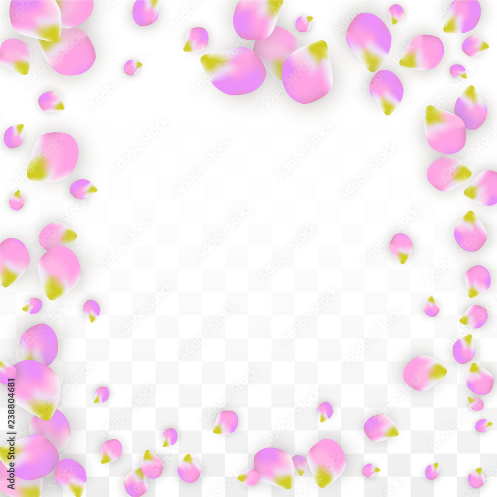 Vector Realistic Pink Petals Falling on Transparent Background.  Spring Romantic Flowers Illustration. Flying Petals. Sakura Spa Design. Blossom Confetti.