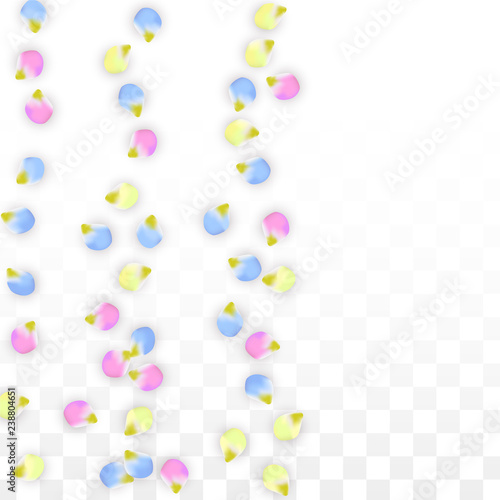 Vector Realistic Colorful Petals Falling on Transparent Background.  Spring Romantic Flowers Illustration. Flying Petals. Sakura Spa Design. Blossom Confetti. Design Elements for Wedding Decoration.