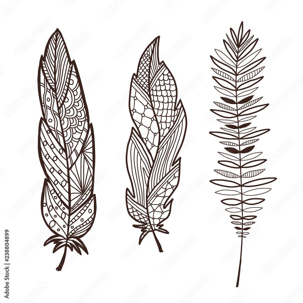 Hand drawn stylized feathers. Interior graphic art print. Cute decorative  feather design. Elements for greeting card and postcard, henna and tattoo  design. vector de Stock | Adobe Stock