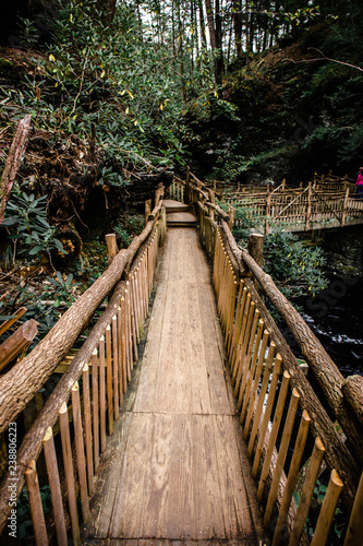 Bushkill Falls