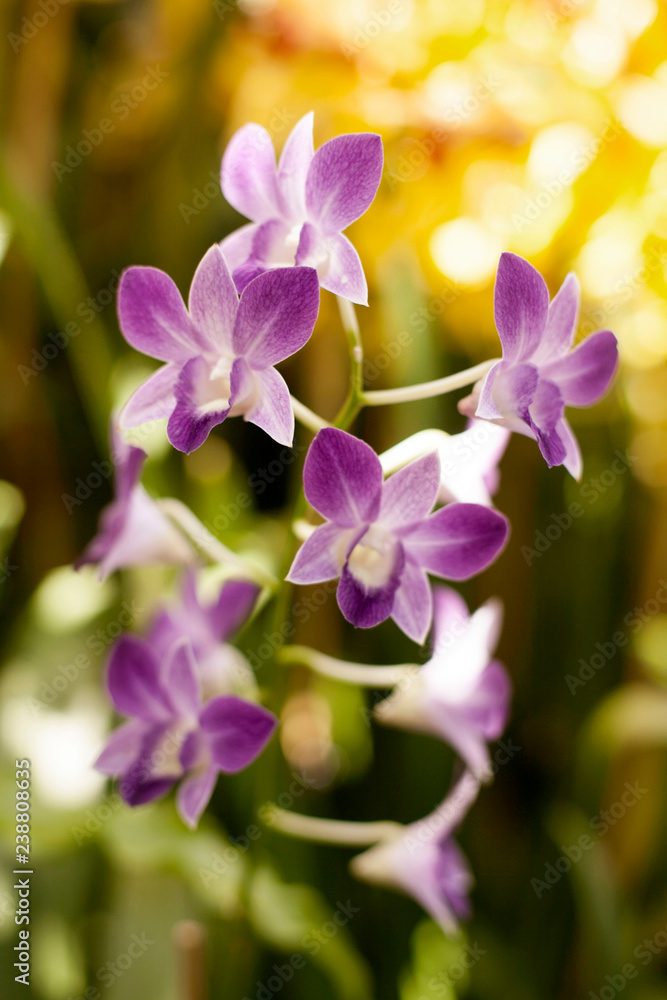 150411_BotanicalGardens_0147 150411_BotanicalGardens_0147