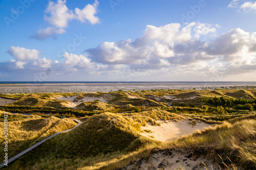 Landscape of dunes at sunset in Amrum Germany in the Northern Sea.